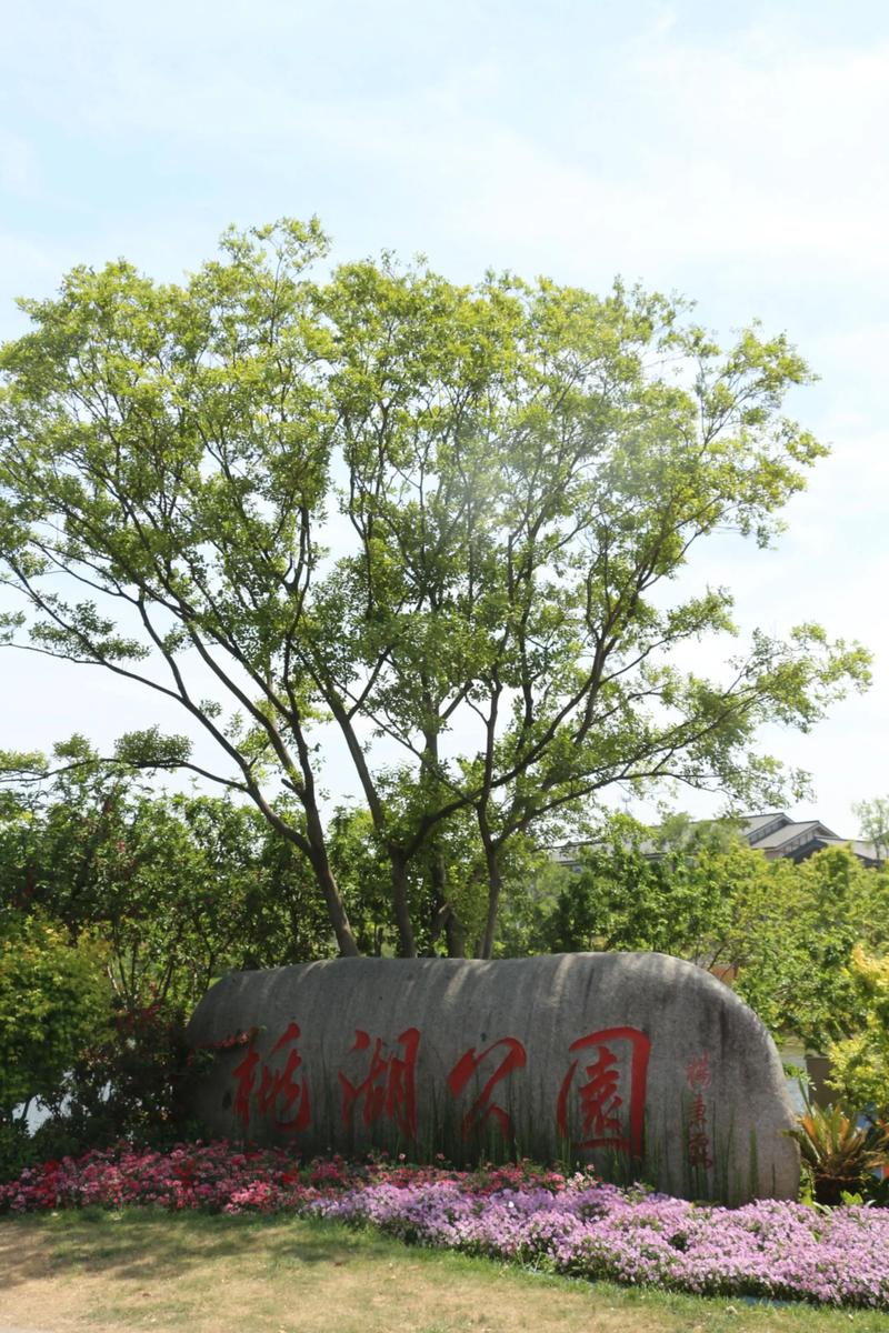 探寻风光无限：隆阳区旅游新动态